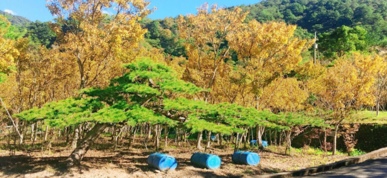 出貨日記 壹