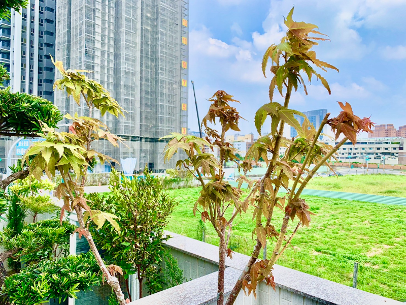 出貨日記  柒