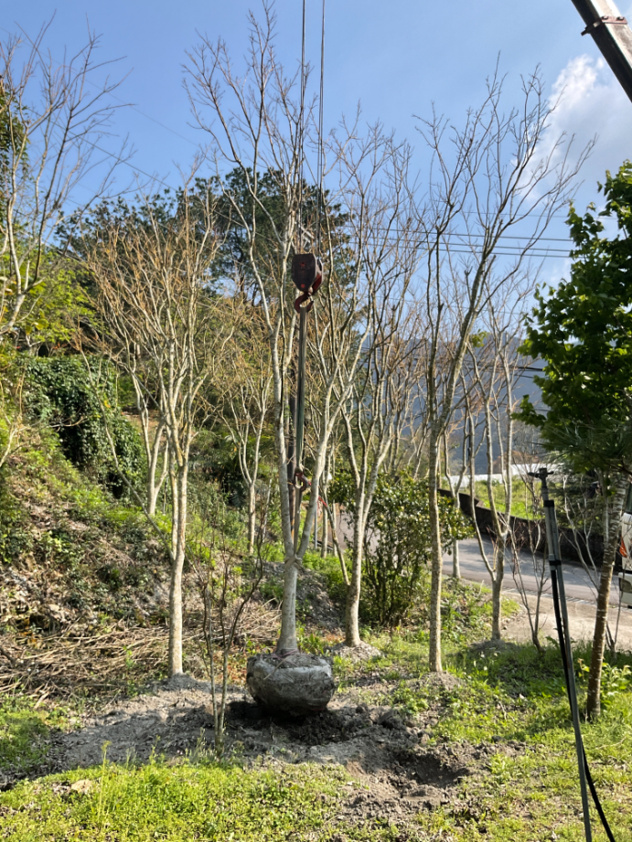 出貨日記  捌