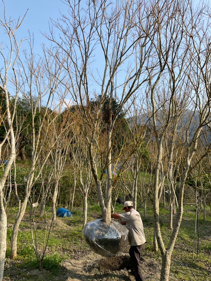 出貨日記  捌