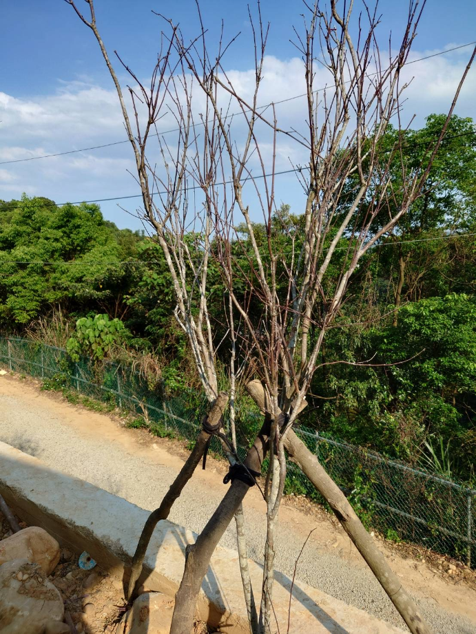 出貨日記 拾玖