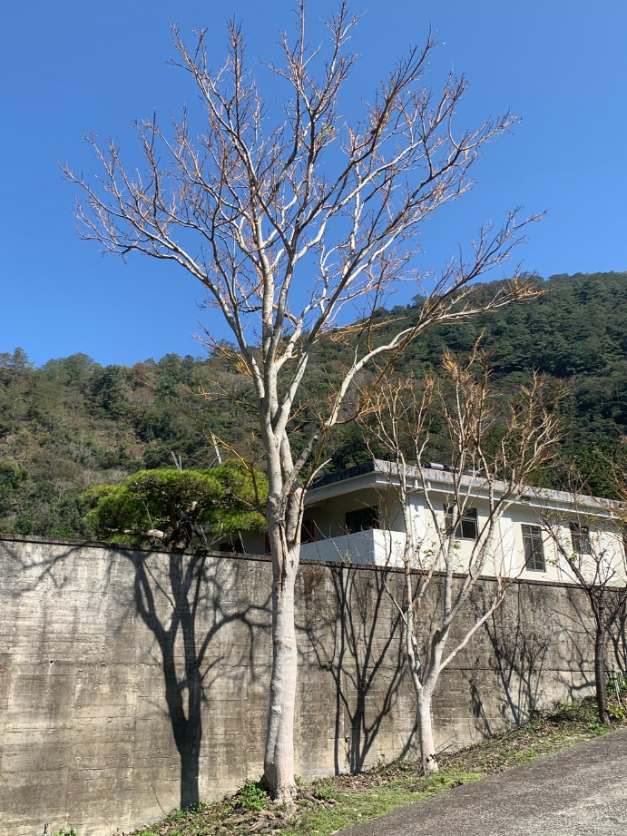 出貨日記 拾