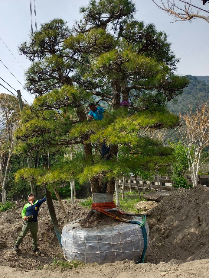 出貨日記